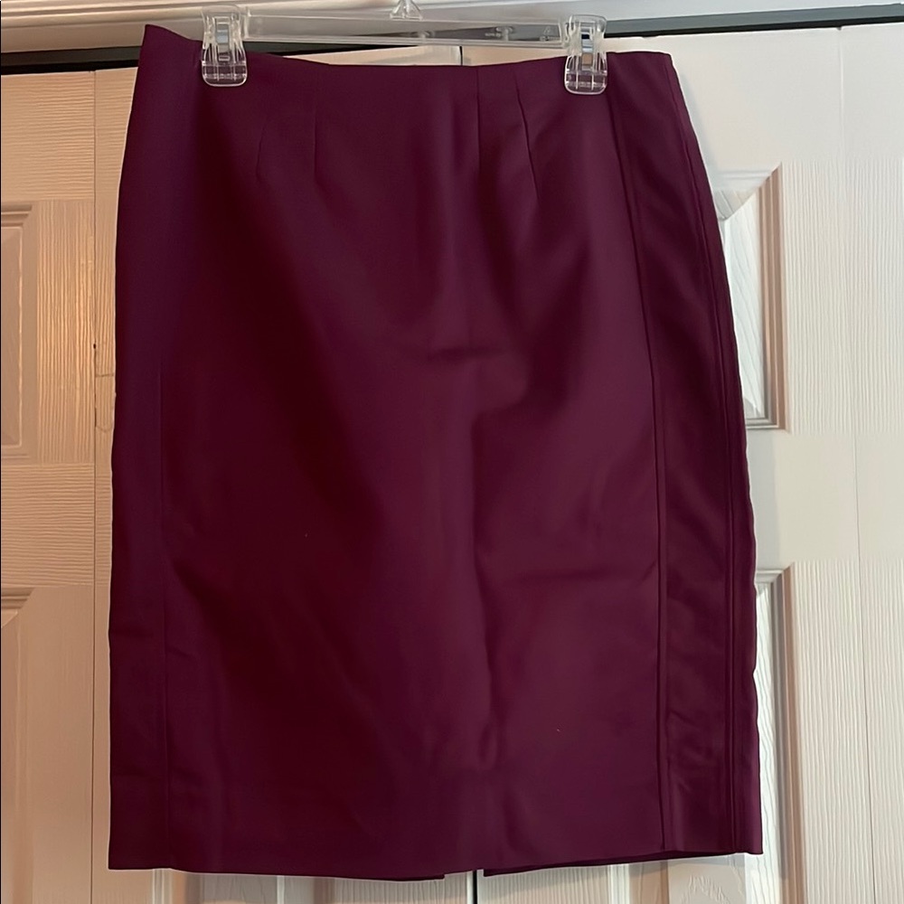 Elegant Purple (Plum) Women's Skirt